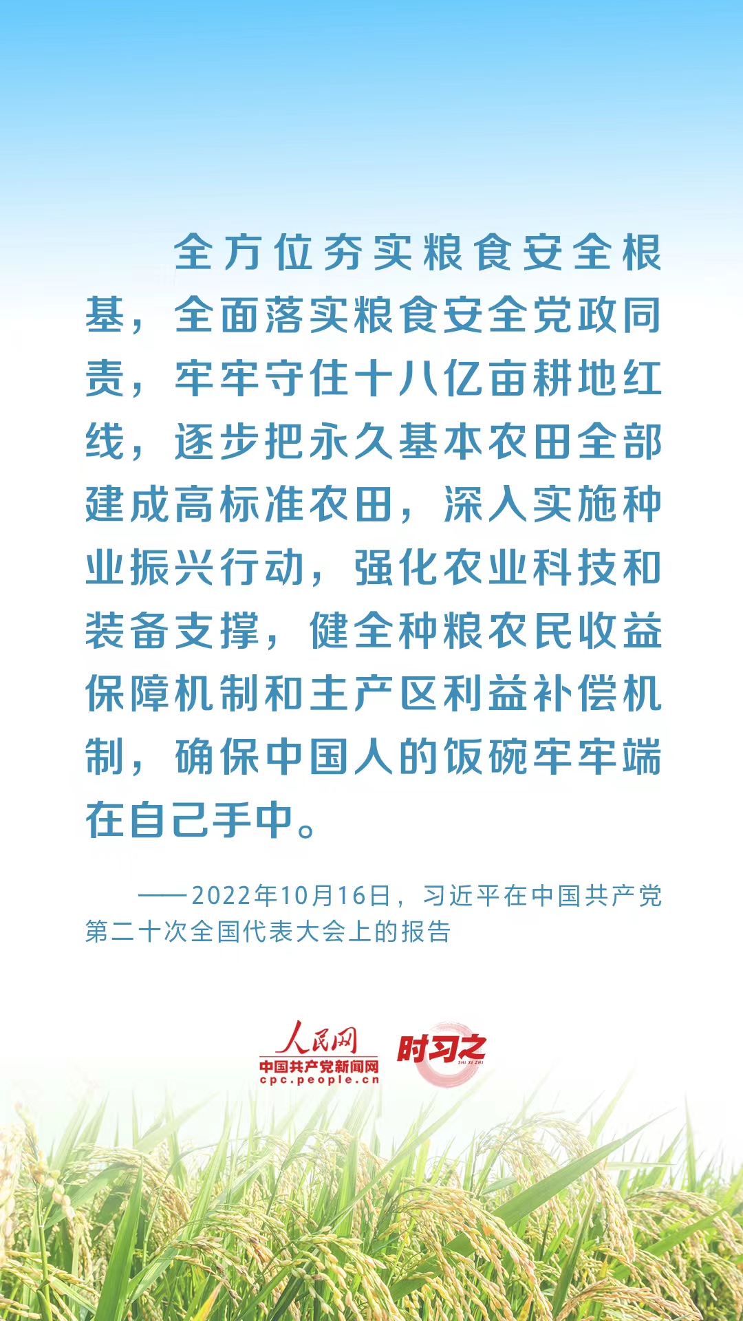 全方位夯实粮食安全根基 习近平强调切实加强耕地保护